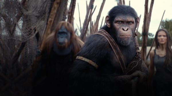 Gesehen: Kingdom of the Planet of the Apes (2024)