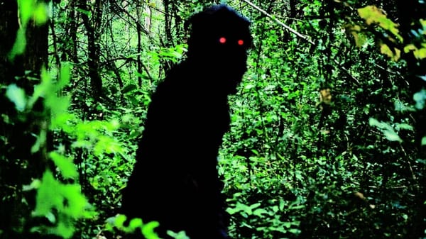 Gesehen: Uncle Boonmee Who Can Recall His Past Lives (2010) - Durchlässige Existenz